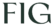 fig black